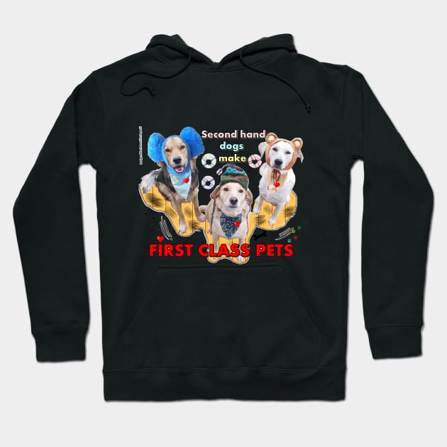 First Class Pets Hoodie by milicapetroviccvetkovic